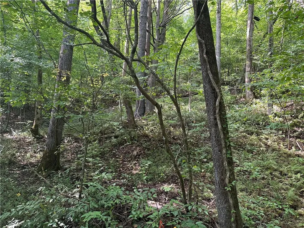 5, 10 Riverview Dr and Pine Trail Dahlonega, GA 30533