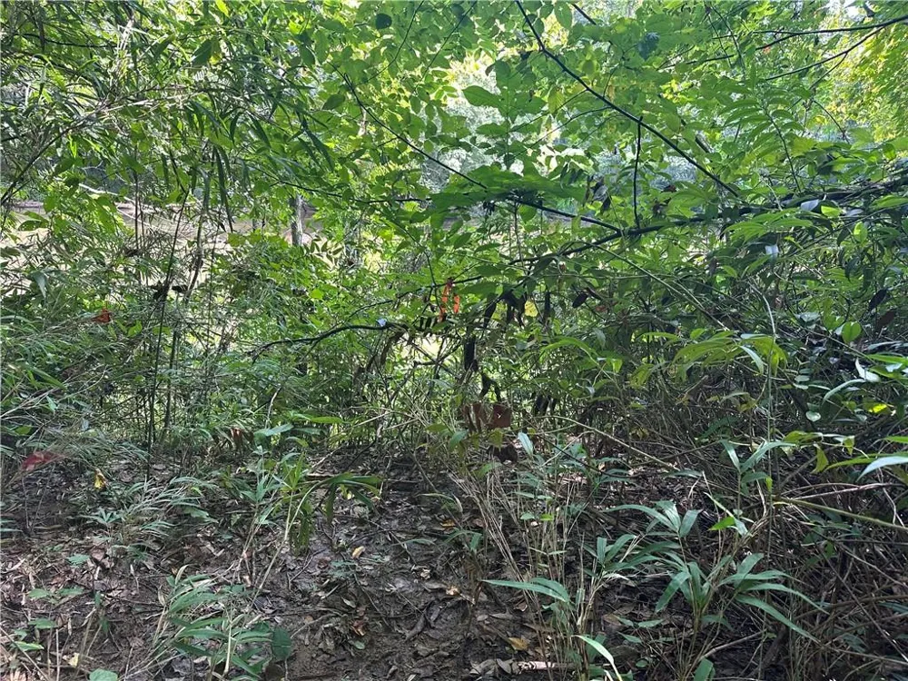 5, 10 Riverview Dr and Pine Trail Dahlonega, GA 30533