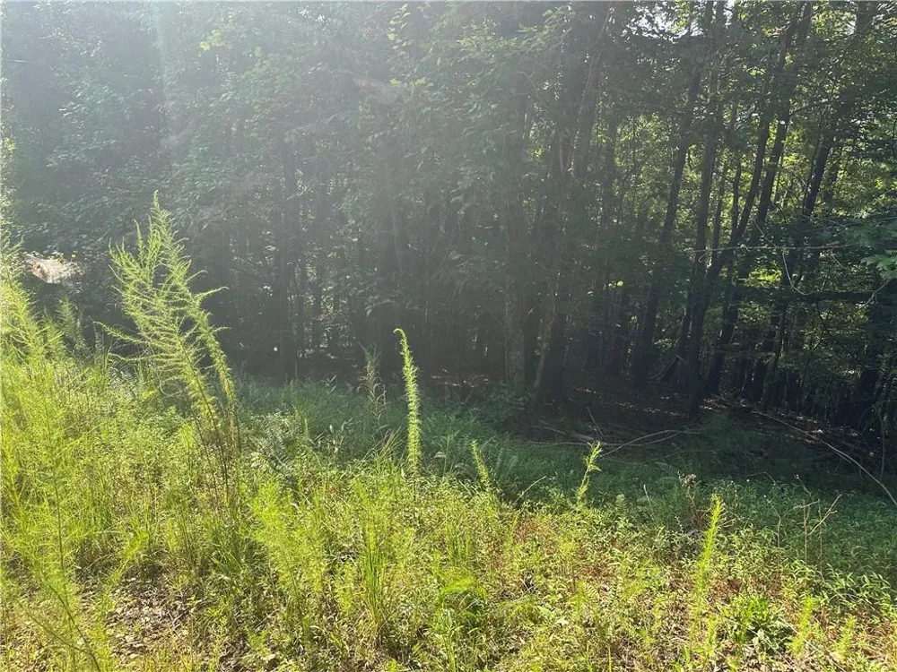 5, 10 Riverview Dr and Pine Trail Dahlonega, GA 30533