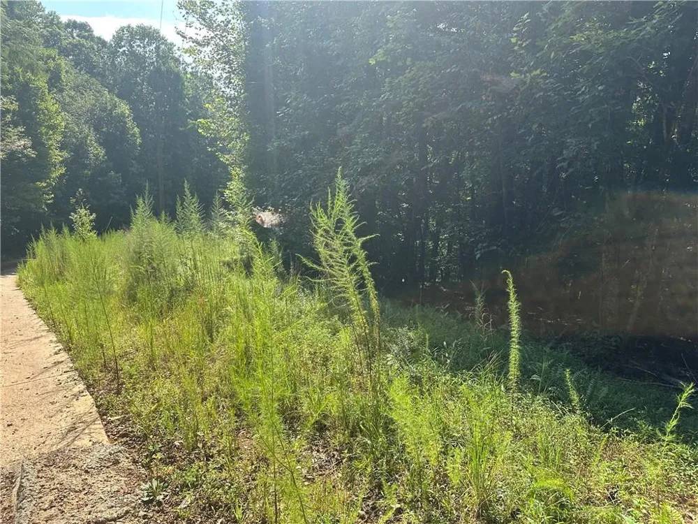 5, 10 Riverview Dr and Pine Trail Dahlonega, GA 30533