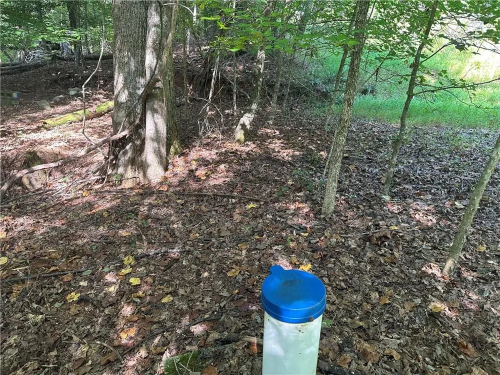5, 10 Riverview Dr and Pine Trail Dahlonega, GA 30533