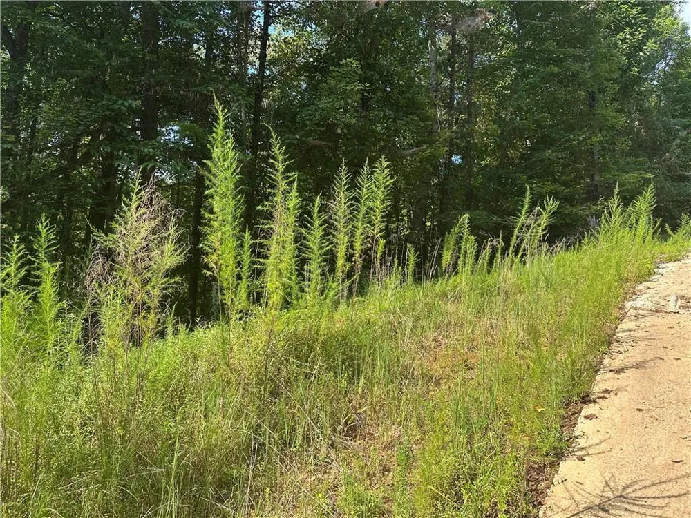 5, 10 Riverview Dr and Pine Trail Dahlonega, GA 30533