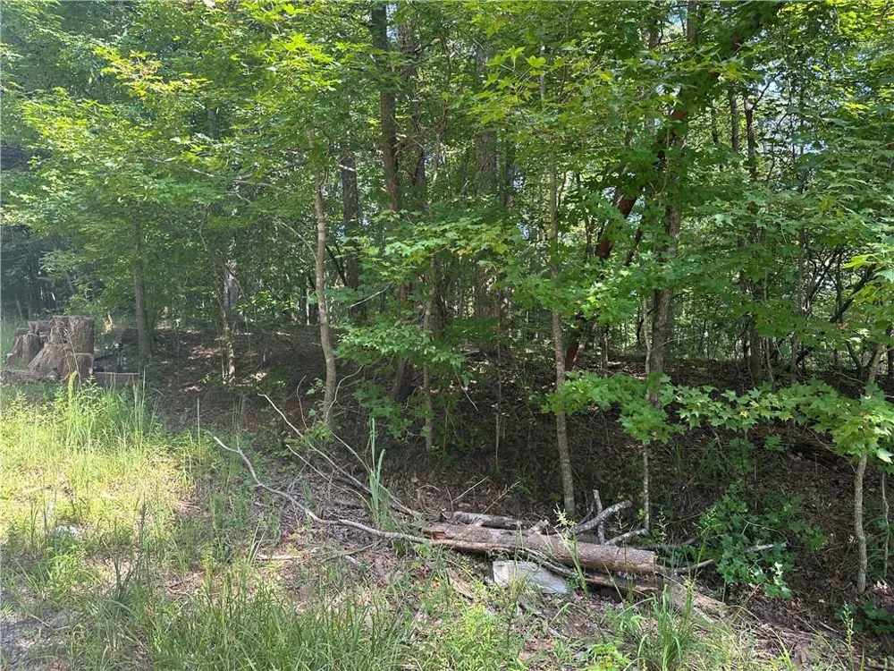 5, 10 Riverview Dr and Pine Trail Dahlonega, GA 30533