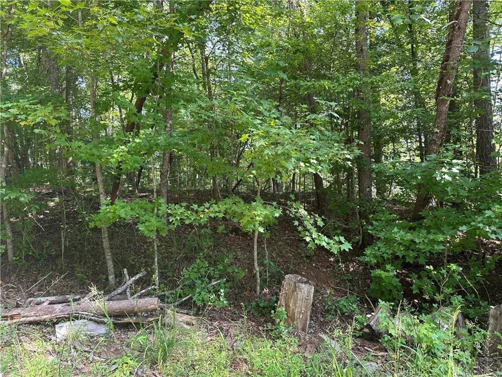 5, 10 Riverview Dr and Pine Trail Dahlonega, GA 30533