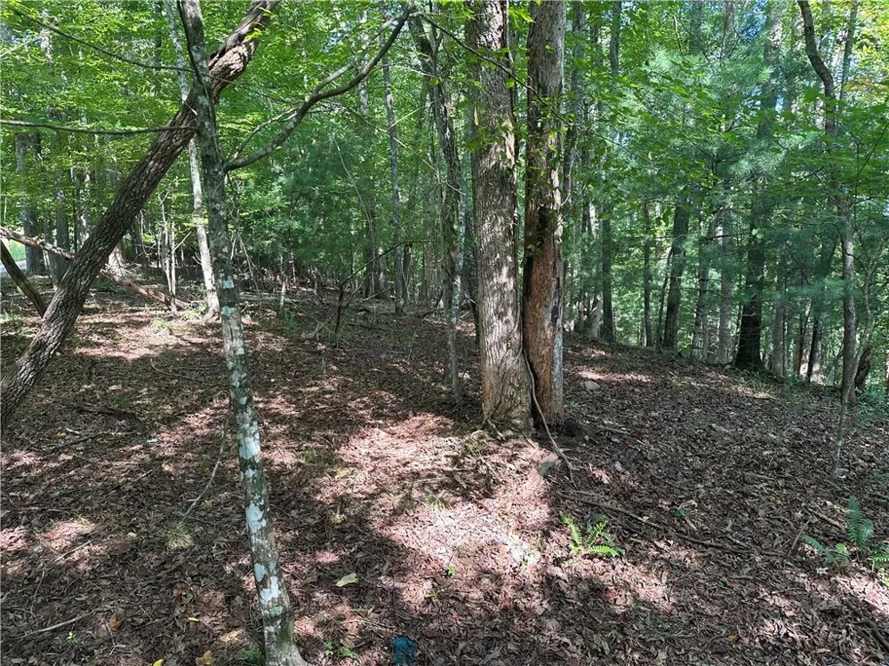 5, 10 Riverview Dr and Pine Trail Dahlonega, GA 30533