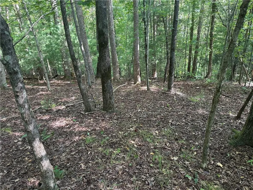 5, 10 Riverview Dr and Pine Trail Dahlonega, GA 30533