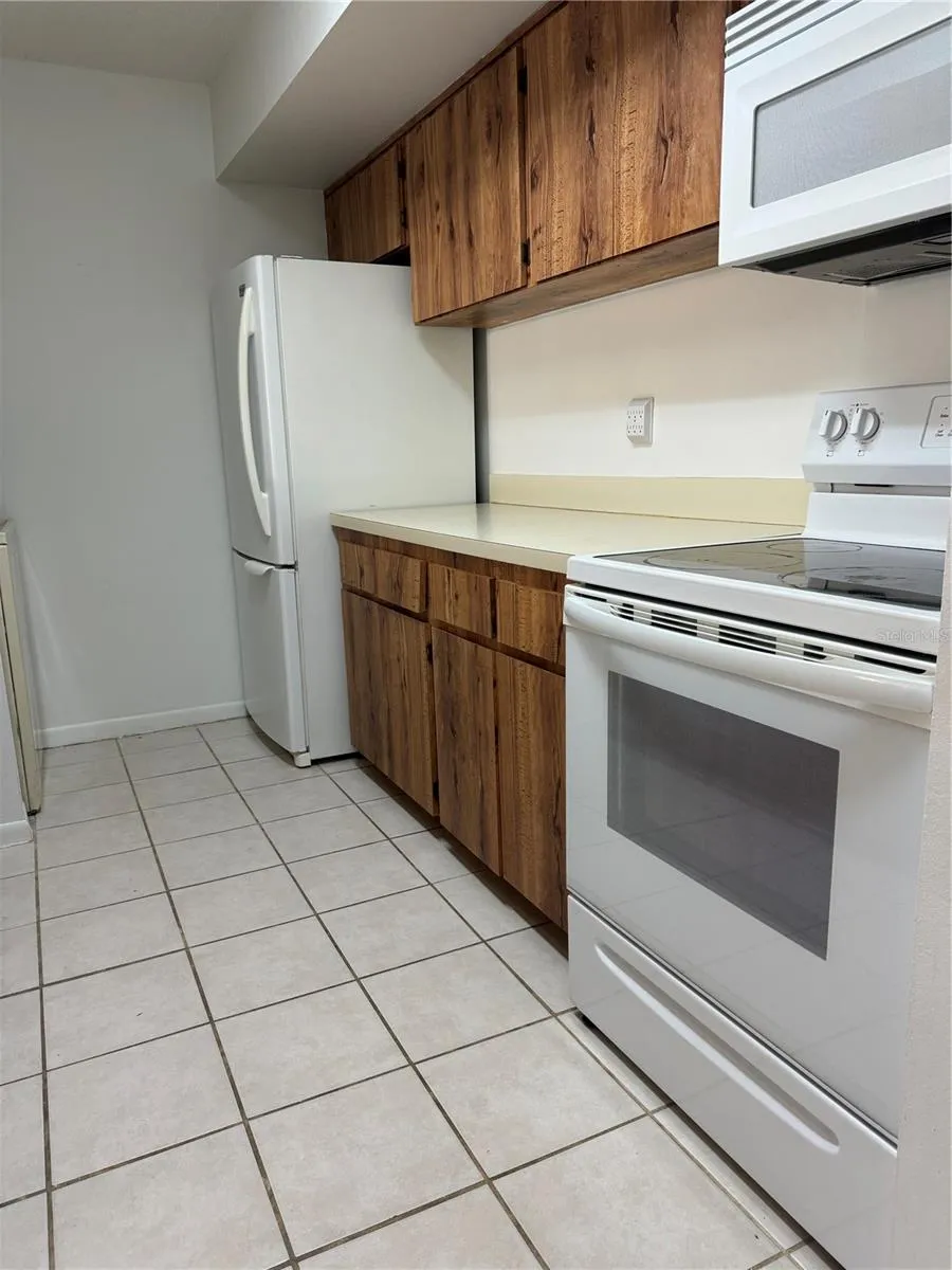 13608 S VILLAGE DRIVE #8203 Tampa, FL 33618