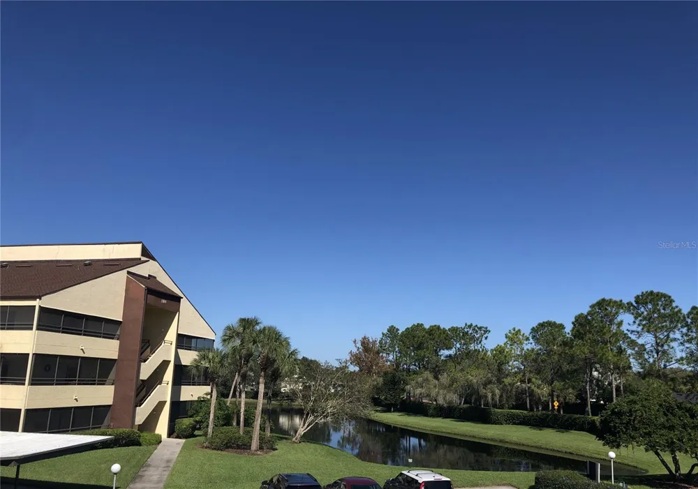 13608 S VILLAGE DRIVE #8203 Tampa, FL 33618