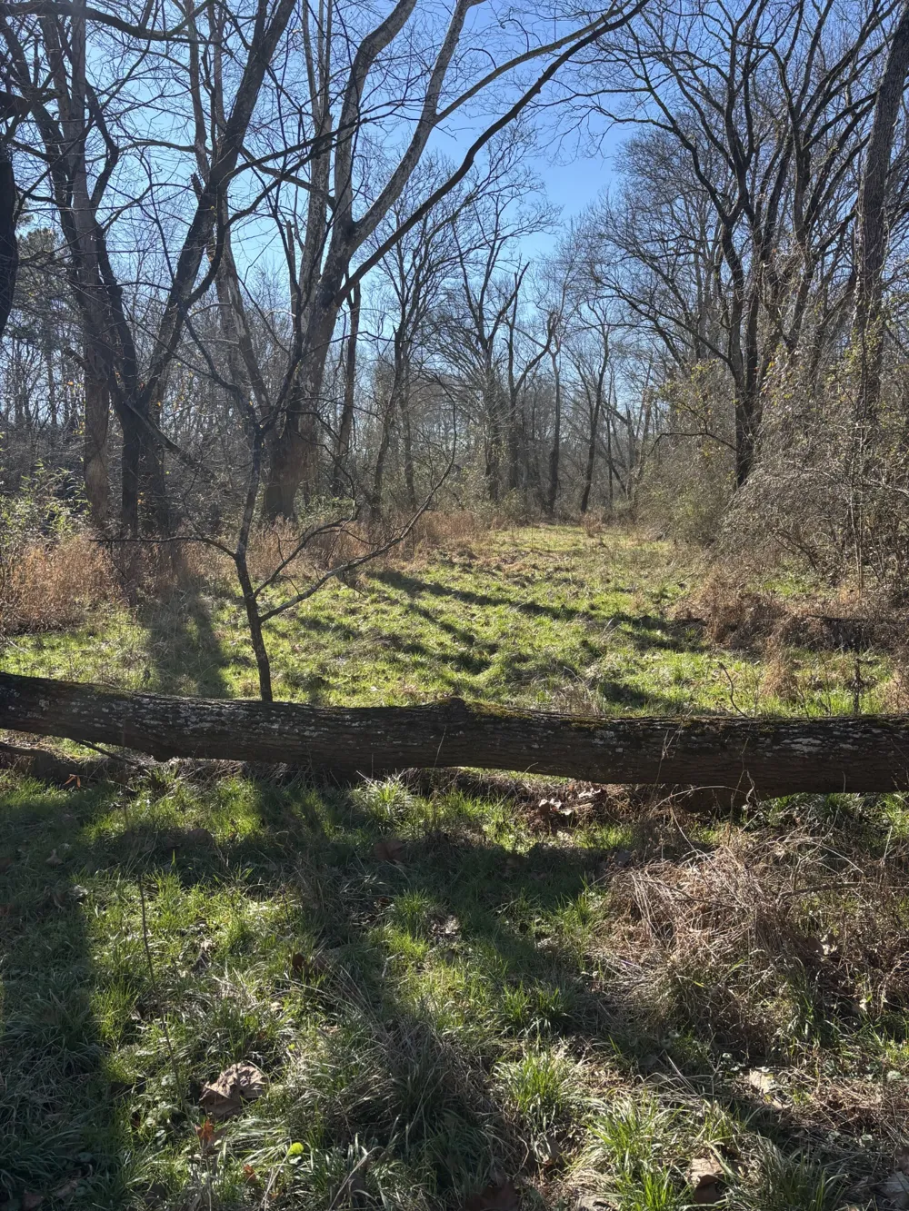 23480 US 127 Dunlap, TN 37327