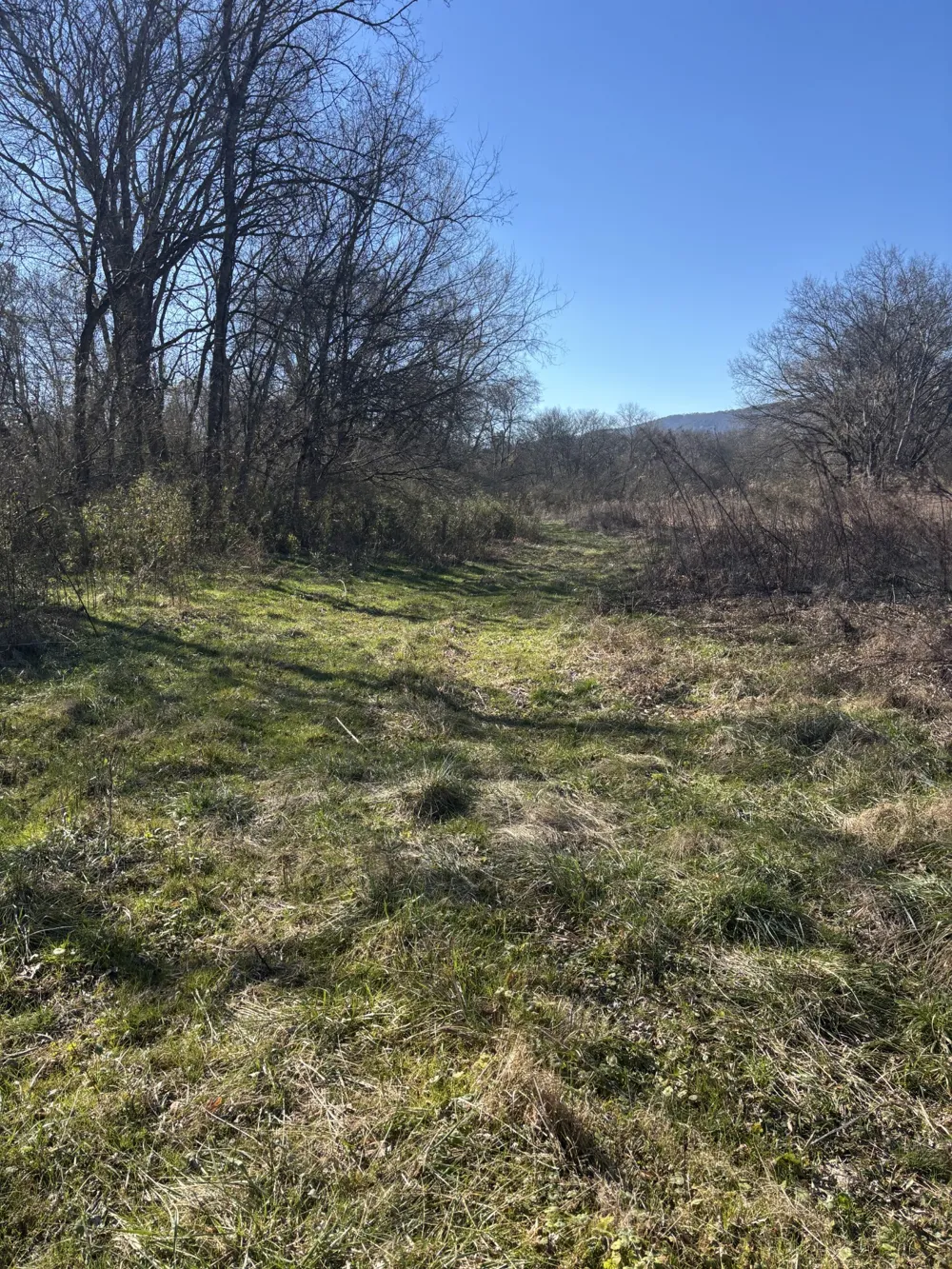 23480 US 127 Dunlap, TN 37327