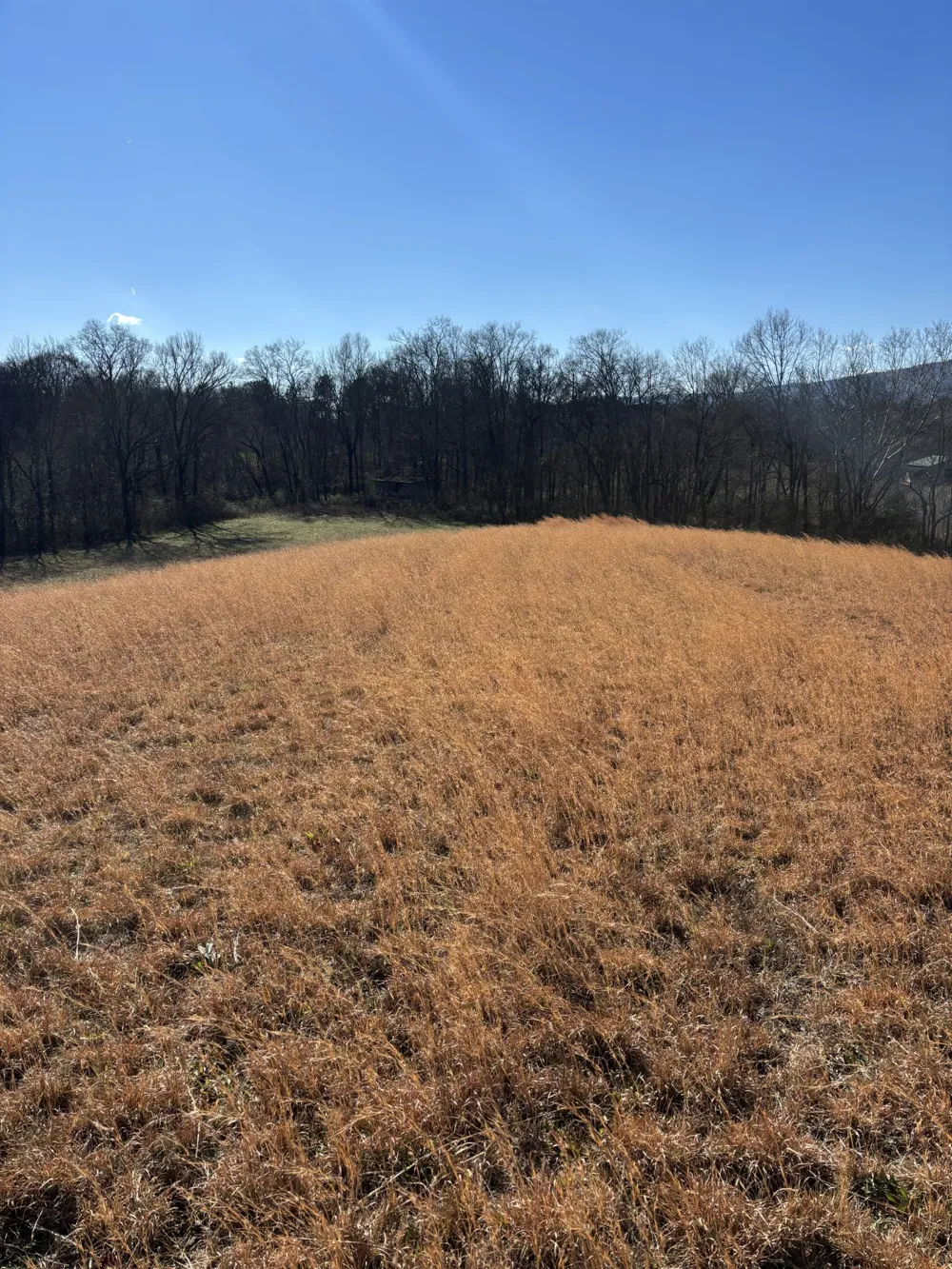 23480 US 127 Dunlap, TN 37327