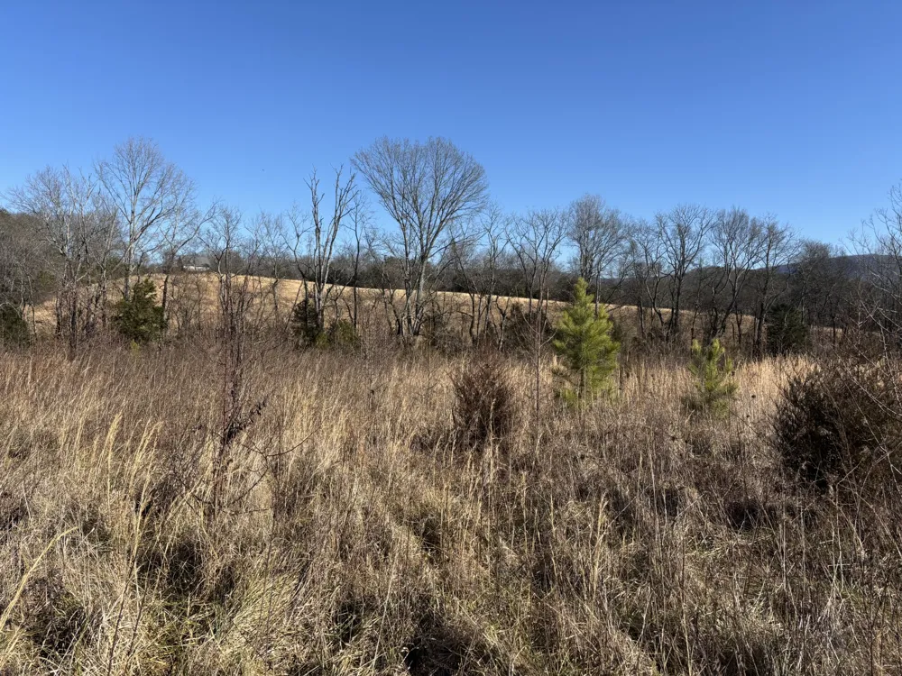 23480 US 127 Dunlap, TN 37327