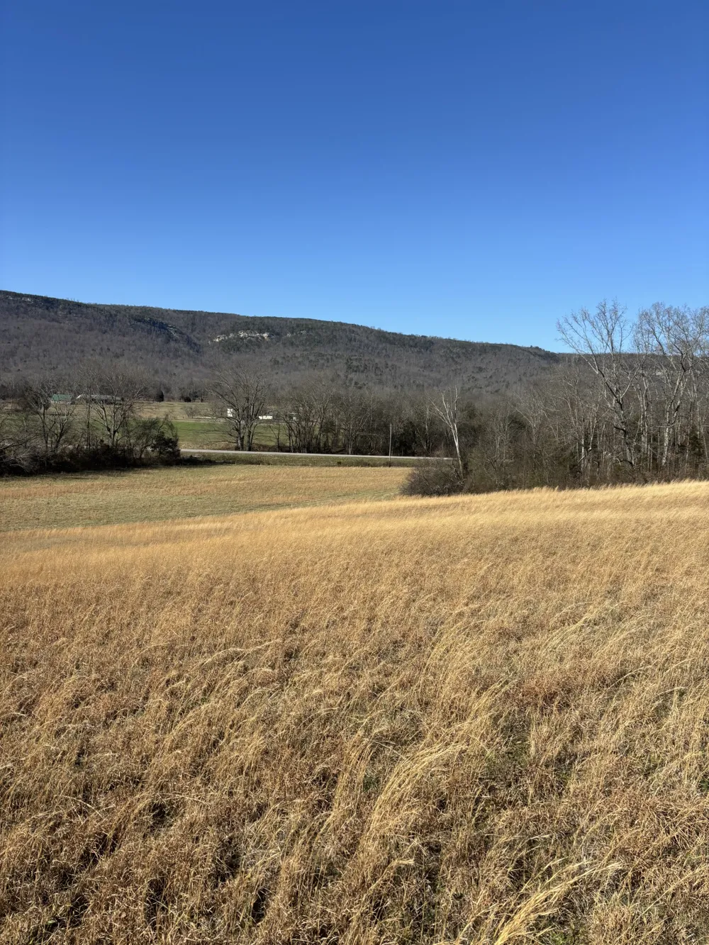 23480 US 127 Dunlap, TN 37327