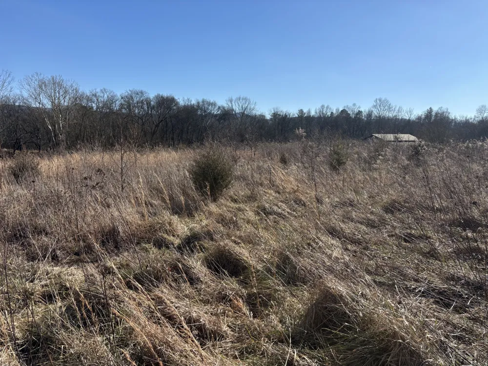 23480 US 127 Dunlap, TN 37327