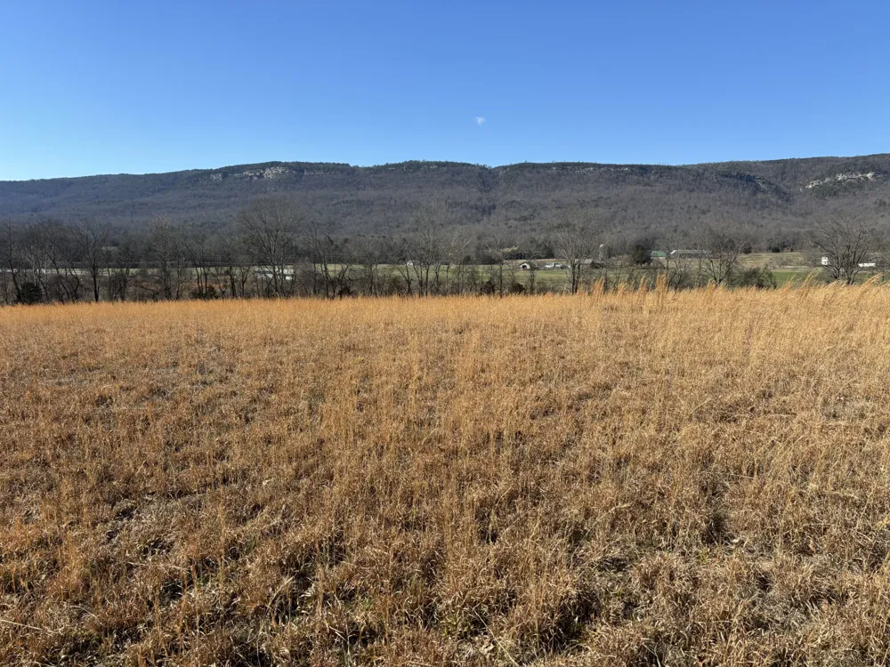 23480 US 127 Dunlap, TN 37327