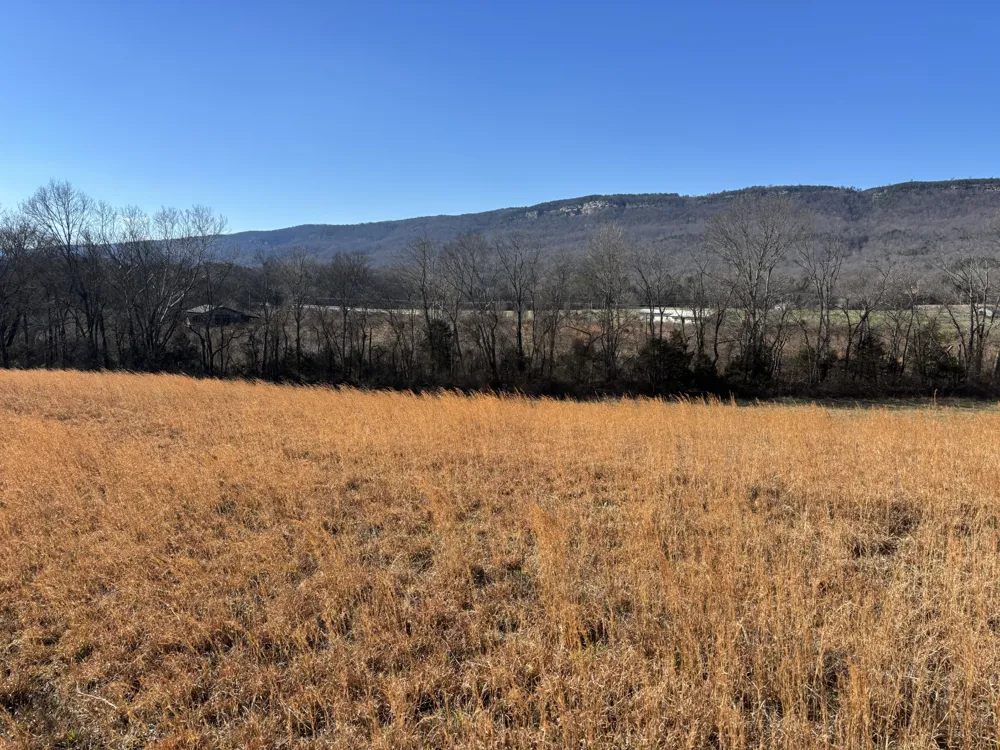 23480 US 127 Dunlap, TN 37327