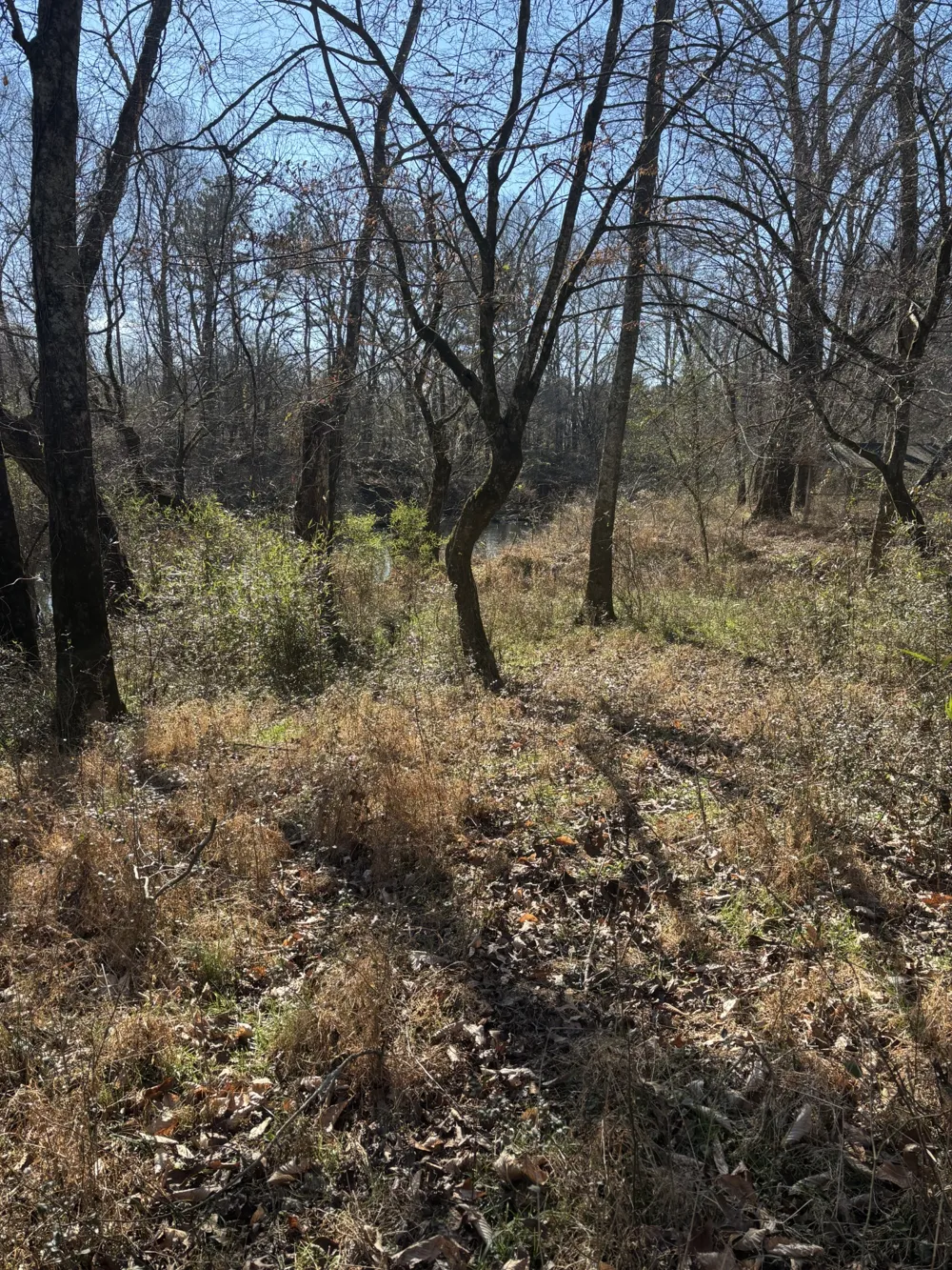 23480 US 127 Dunlap, TN 37327