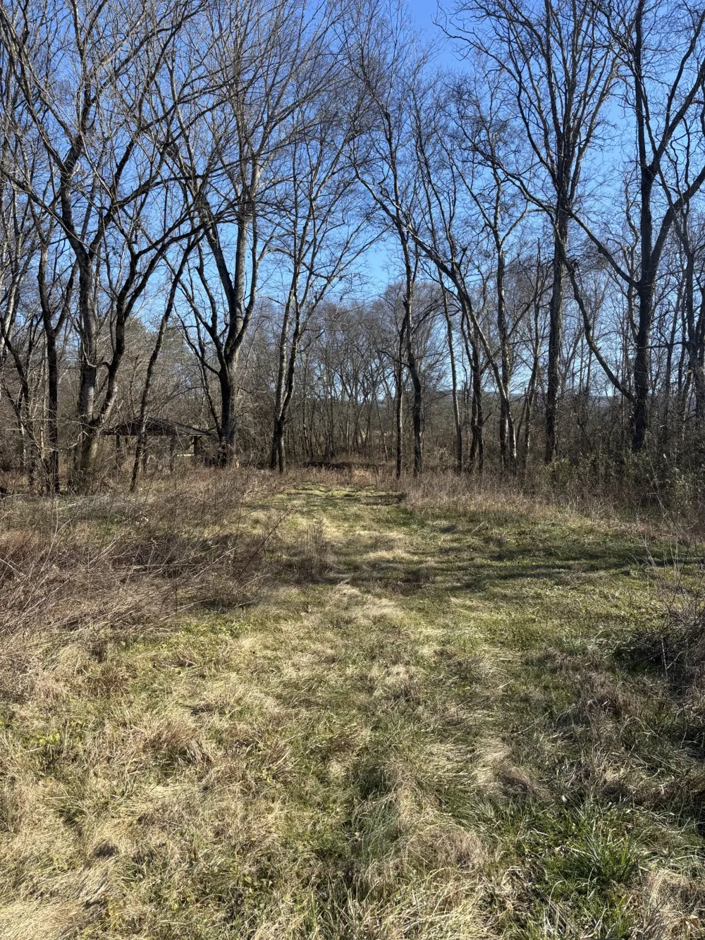 23480 US 127 Dunlap, TN 37327
