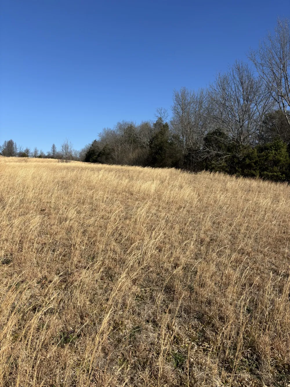 23480 US 127 Dunlap, TN 37327