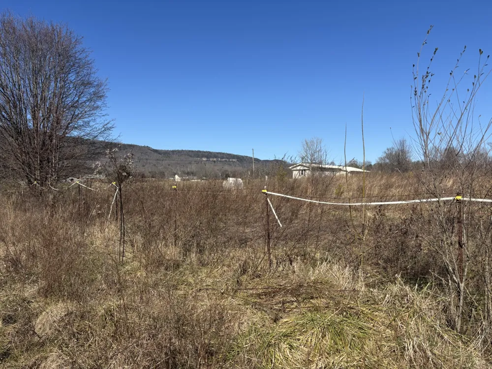 23480 US 127 Dunlap, TN 37327