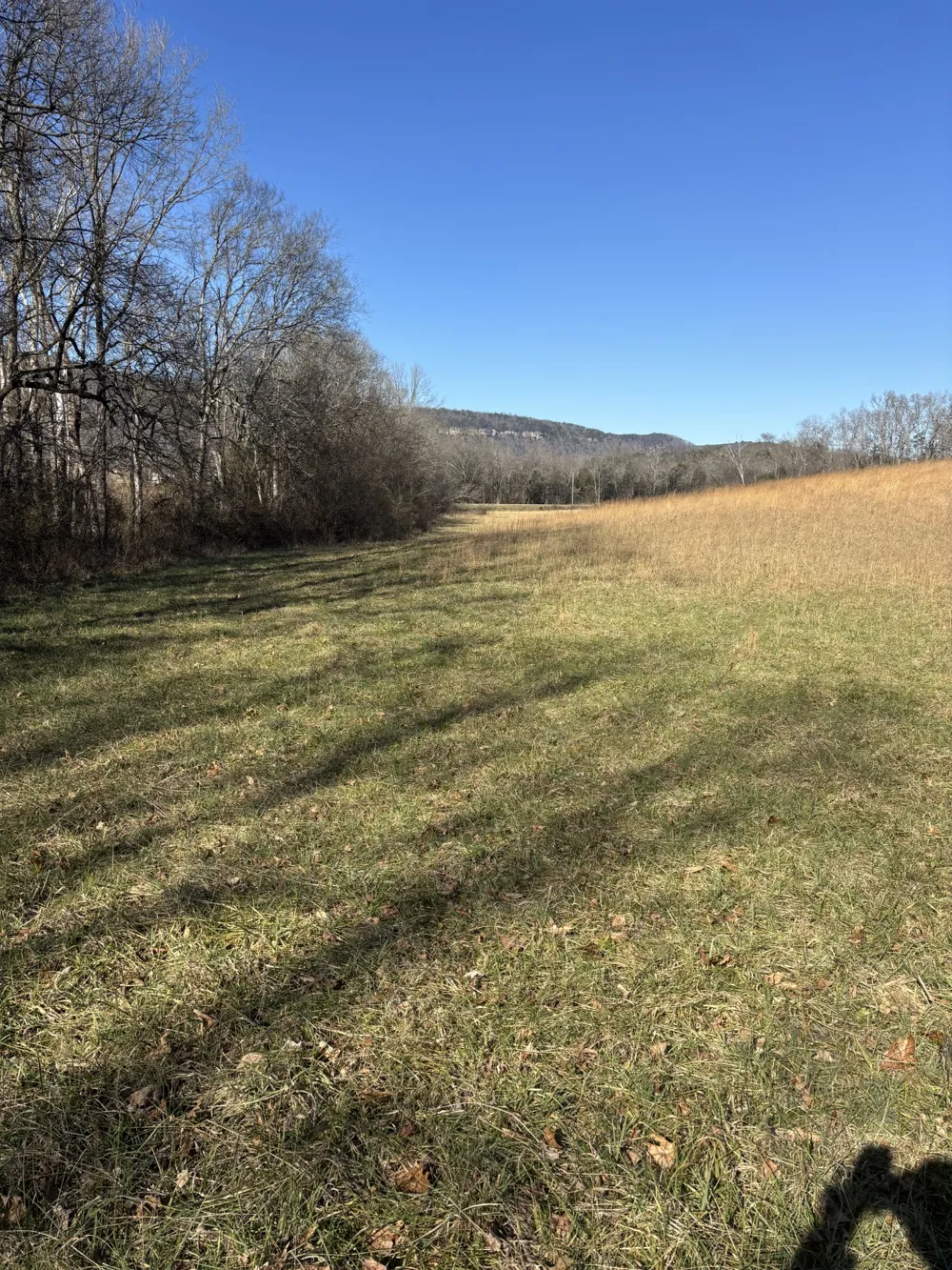 23480 US 127 Dunlap, TN 37327