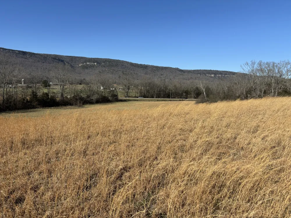 23480 US 127 Dunlap, TN 37327