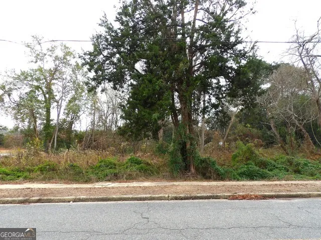 602 N Franklin ST Dublin, GA 31021