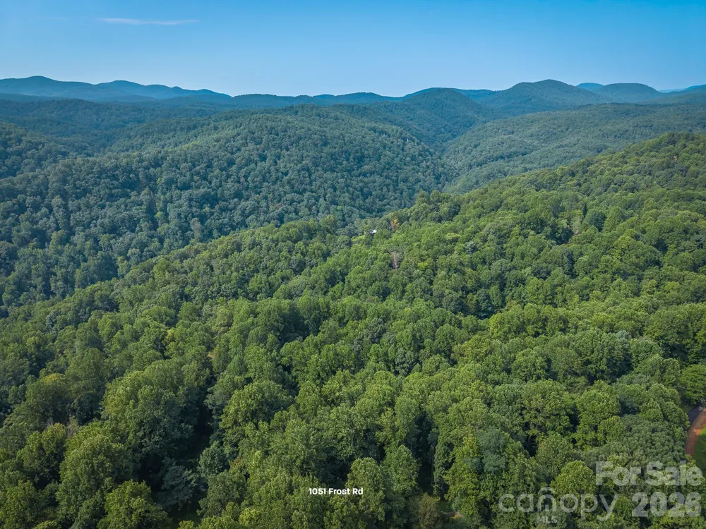 1051 Frost Road Saluda, NC 28773