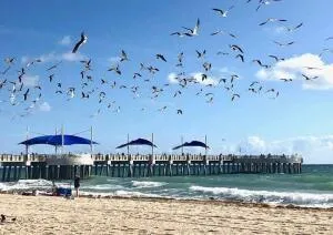 1012 OCEAN BOULEVARD #802 Pompano Beach, FL 33062