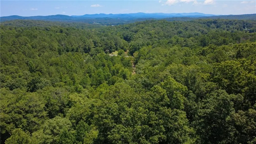 268 Creek Bank Drive #A Talking Rock, GA 30175
