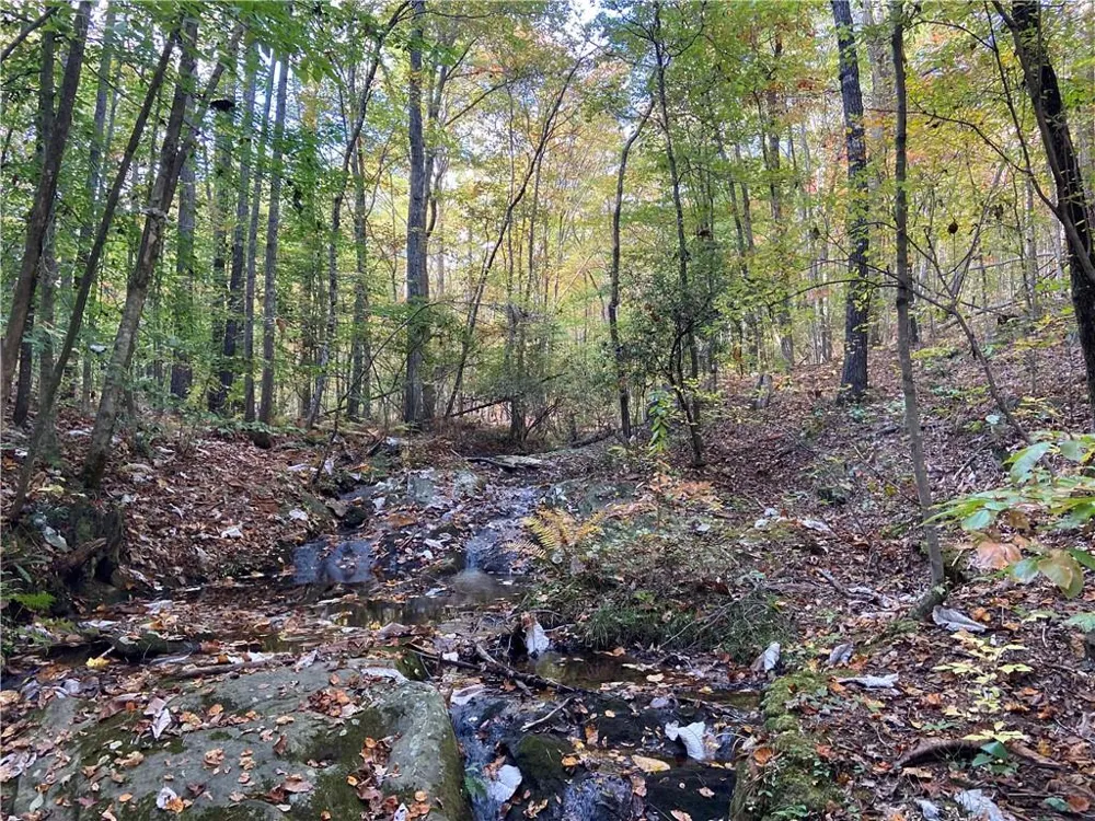 00 Lone Bear Path Dallas, GA 30132