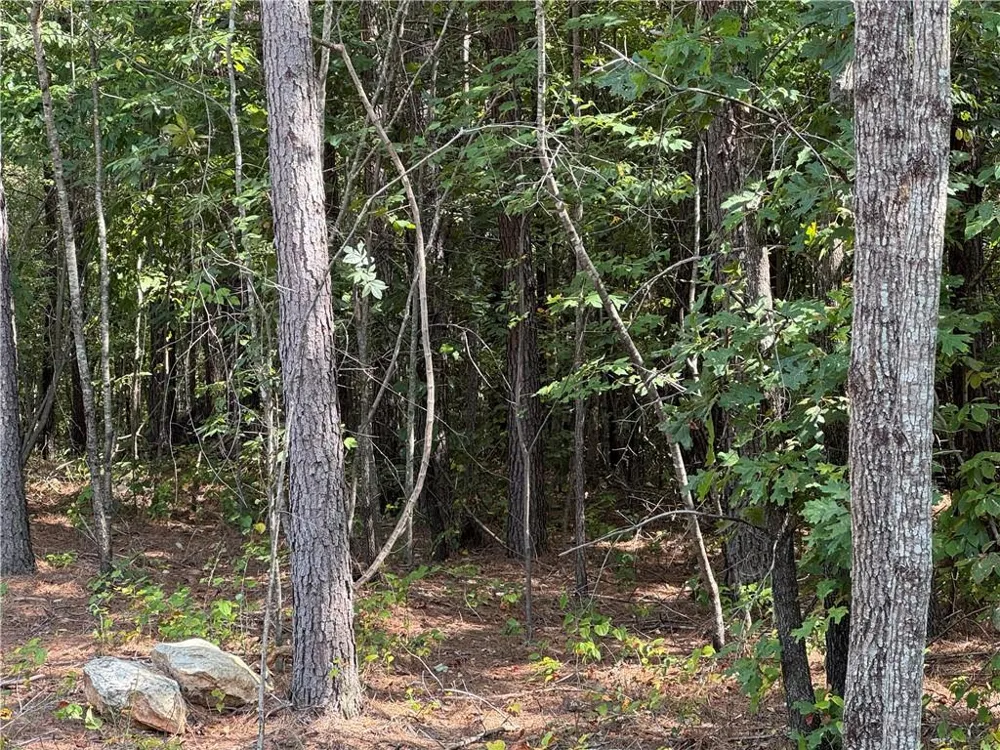 00 Lone Bear Path Dallas, GA 30132