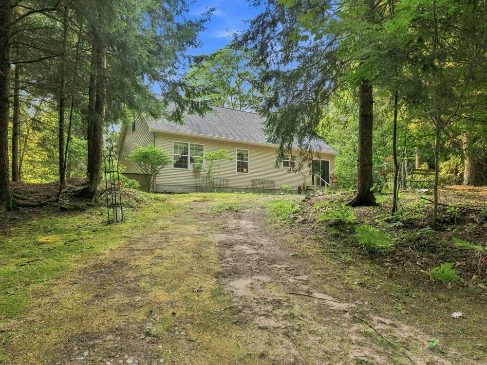3626 Michigan Trail Torch Lake Township, MI 49648