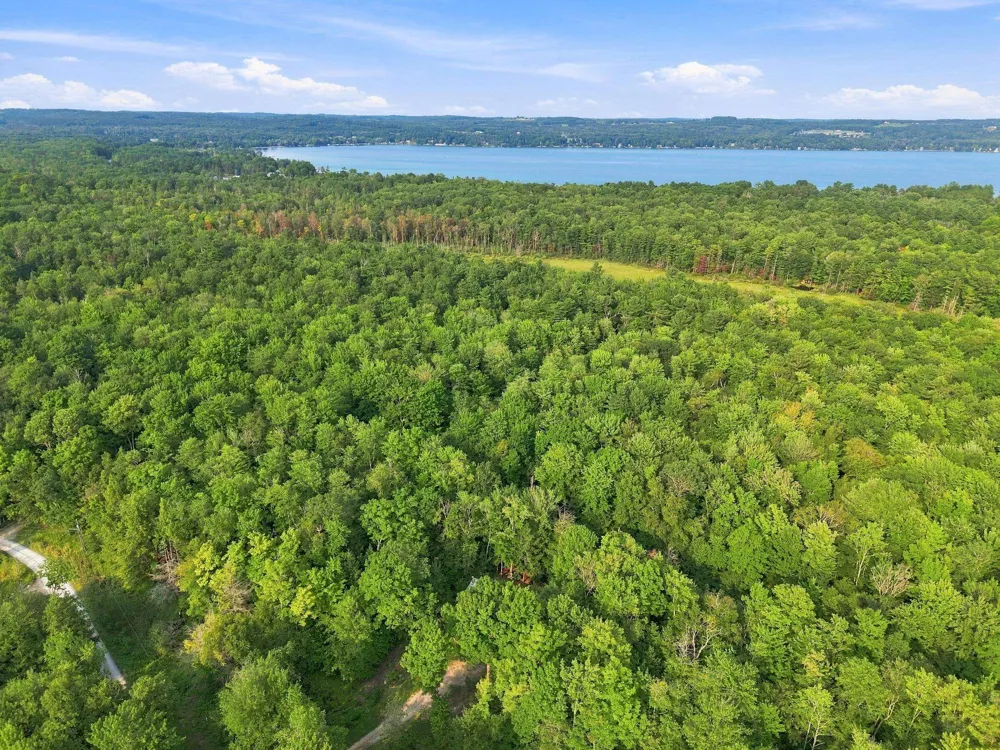 3626 Michigan Trail Torch Lake Township, MI 49648
