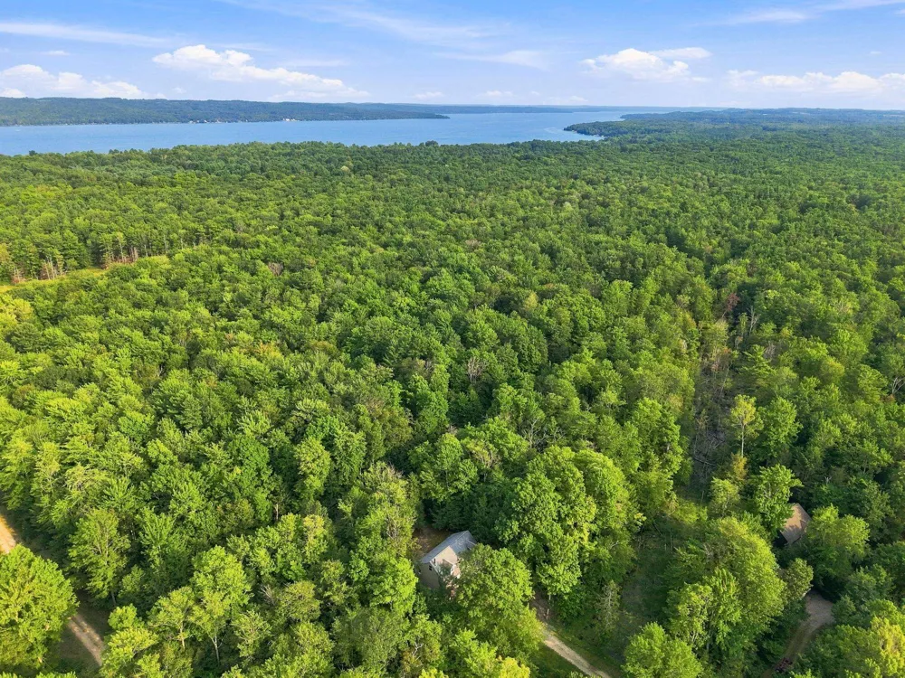 3626 Michigan Trail Torch Lake Township, MI 49648