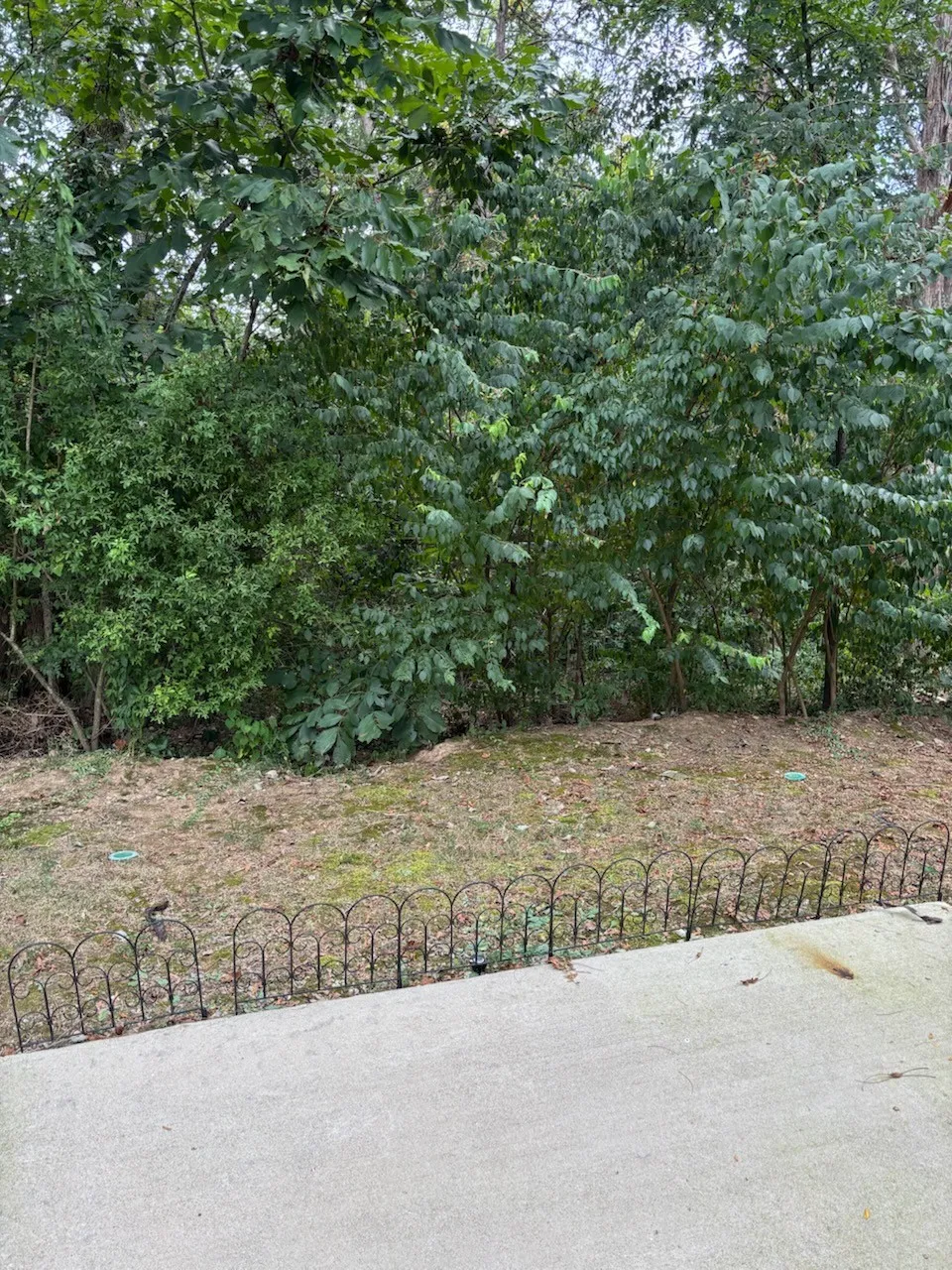 2725 Gossett Trl Nashville, TN 37221