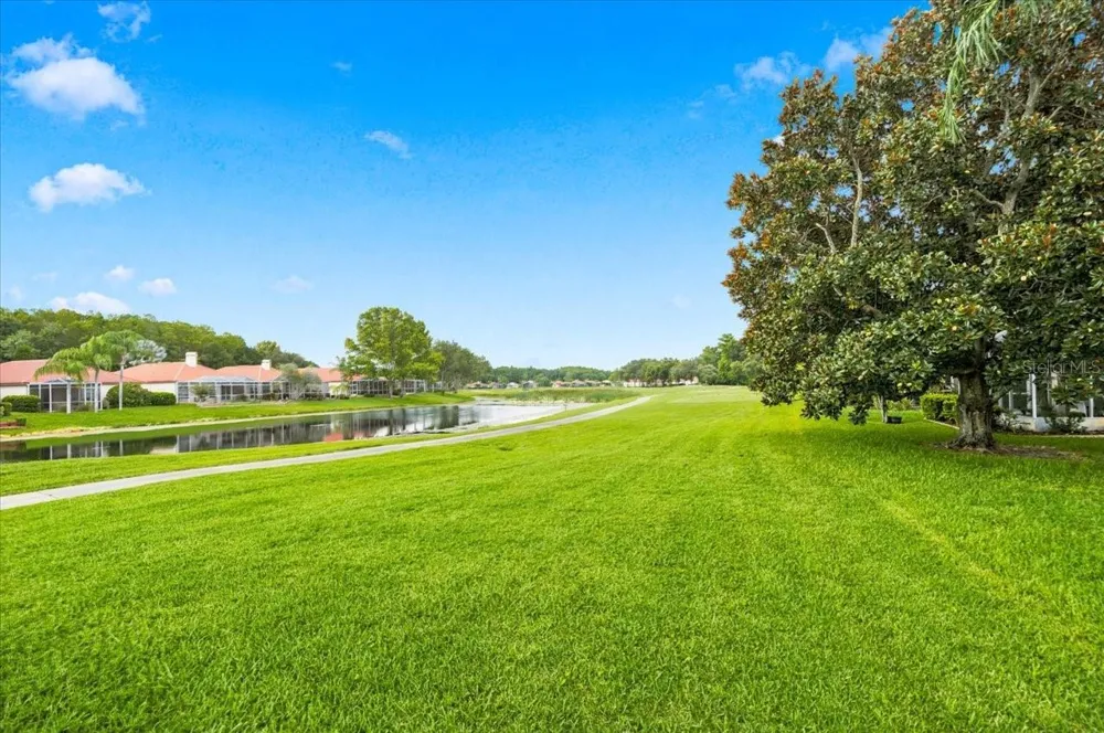 1333 LINDENWOOD DRIVE Tarpon Springs, FL 34688