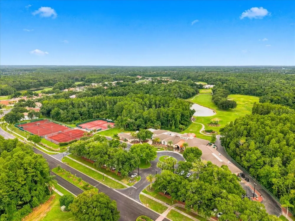 1333 LINDENWOOD DRIVE Tarpon Springs, FL 34688