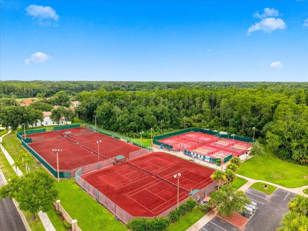 1333 LINDENWOOD DRIVE Tarpon Springs, FL 34688