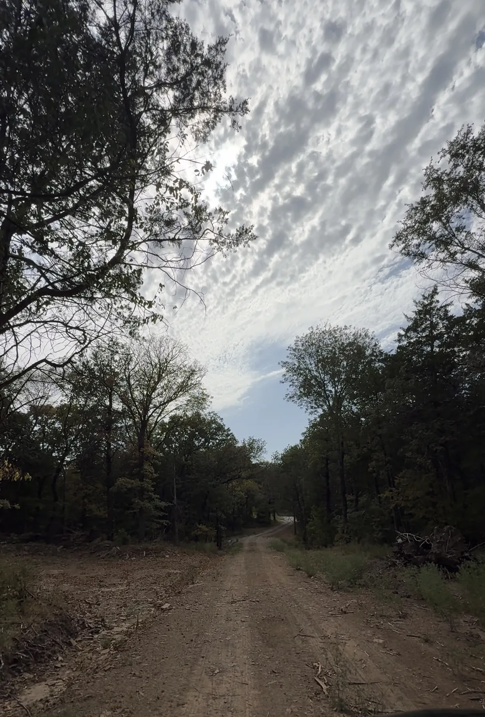 Yellow Bull Road Indianola, OK 74442