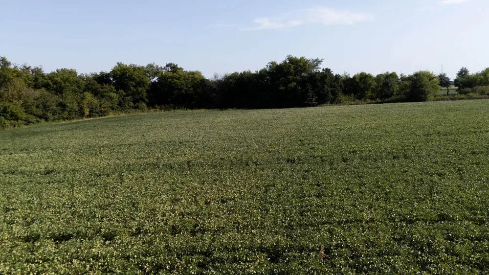 4802 Highway 2 Welch, OK 74369