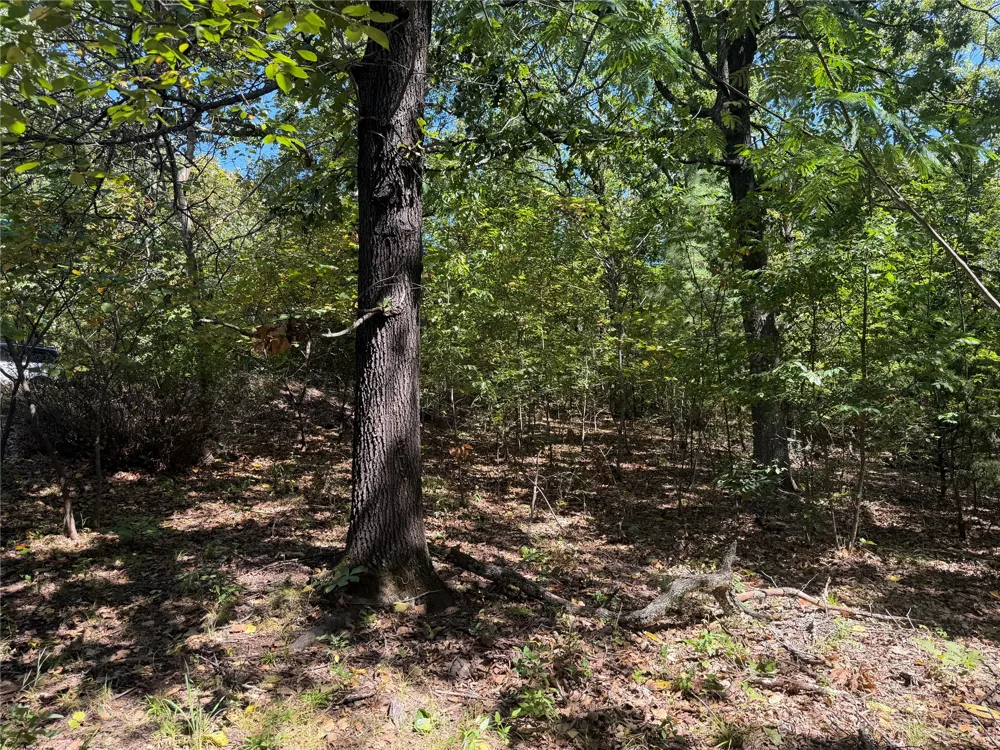 23181 Idlewild Fort Gibson, OK 74434