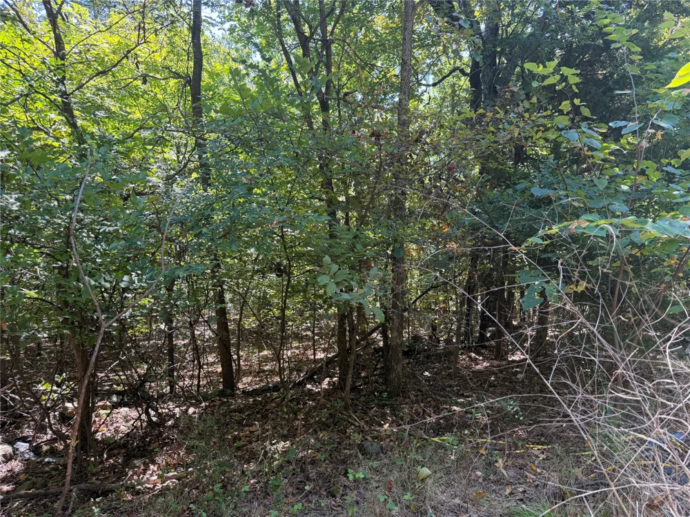 23181 Idlewild Fort Gibson, OK 74434