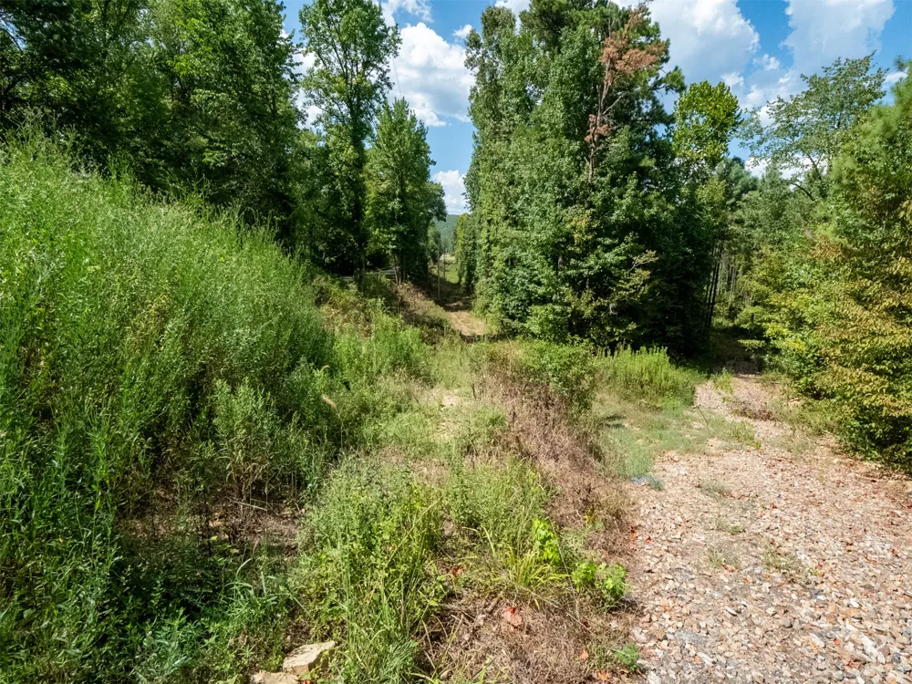 Indian Trail Smithville, OK 74957