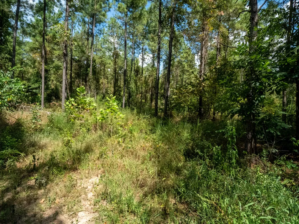 Indian Trail Smithville, OK 74957