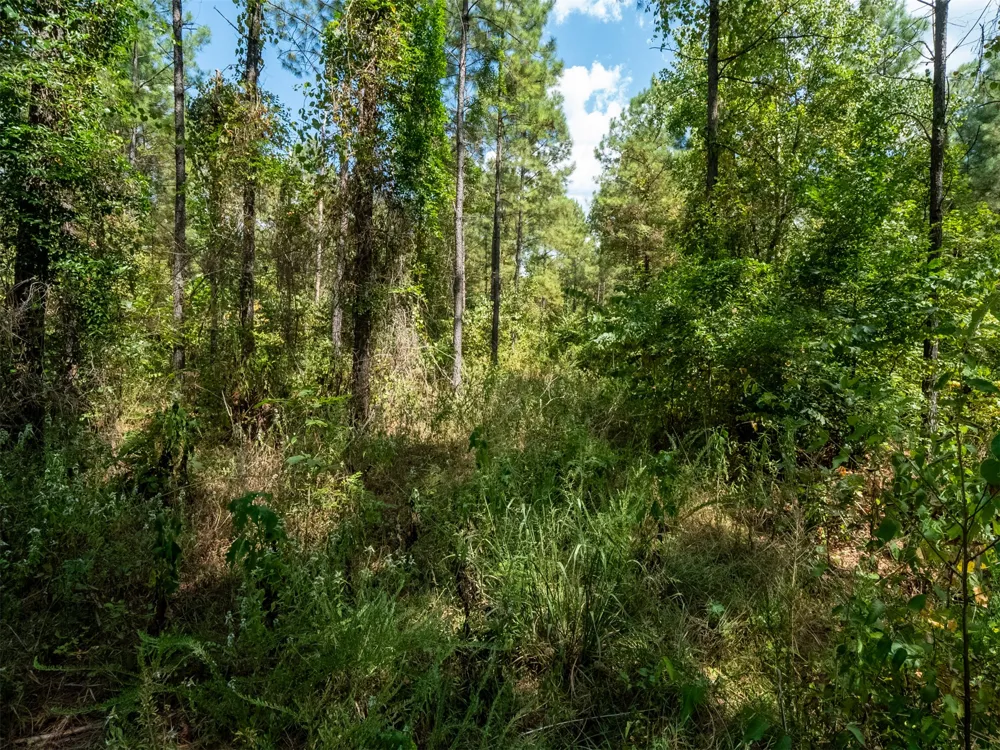 Indian Trail Smithville, OK 74957
