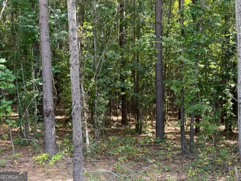 00 Lone Bear PATH