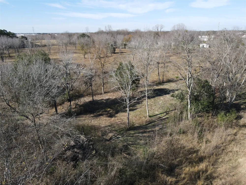 16019 Sam Brookins Street Sugar Land, TX 77498