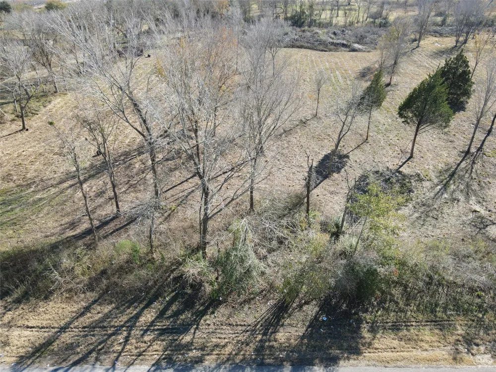 16019 Sam Brookins Street Sugar Land, TX 77498
