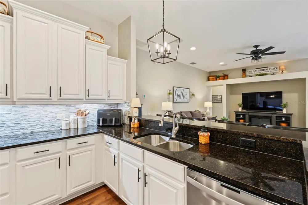 3187 ST MARTIN STREET Tarpon Springs, FL 34688
